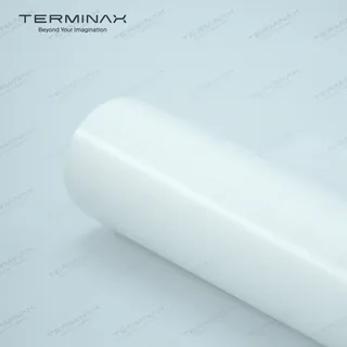 TERMINAX P201S Satin White