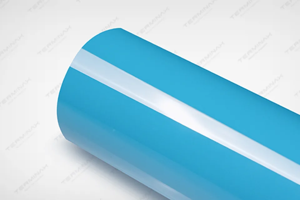 Visuel fabricant TERMINAX P209 Miami Blue
