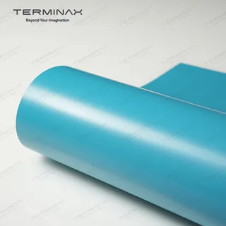 TERMINAX P209S Satin Miami Blue