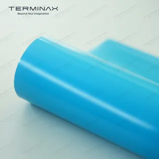 TERMINAX P211S Satin Sky Blue