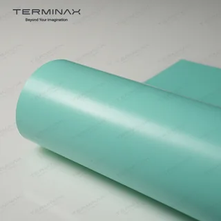 TERMINAX P213S Satin Tiffany